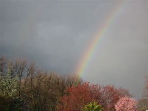 God's Promise Rainbow